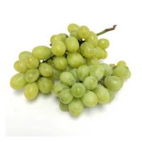 Fresh grapes for sale in bulk at a wholesale price