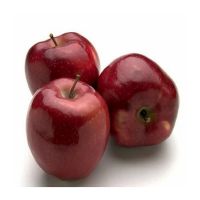 Wholesale Red Apples For International Trade