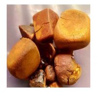 Bulk Cattle Gallstones For Buyers And