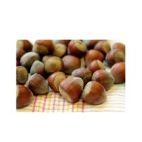 Premium Quality Hazelnuts Available For Export