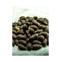 Non-GMO Cotton Seeds For Planting