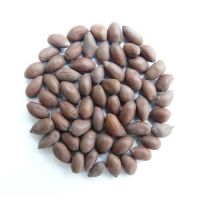Wholesale Cotton Seeds For International Trade
