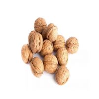 Walnuts for sale in bulk at a wholesale price