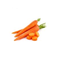 Premium-grade Carrots For Restaurants And