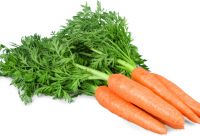 Long Shelf-life Carrots For Supermarkets