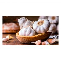 Fresh Garlic Available For Sale In