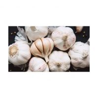 Locally Sourced Garlic For Farm-to