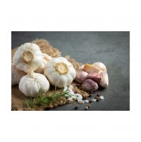 Export-grade Garlic Packed For International