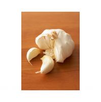 Wholesale Garlic Available For Restaurants And