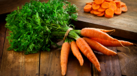 Non-GMO Fresh Carrots For A