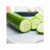 High-quality Cucumbers For Restaurants And