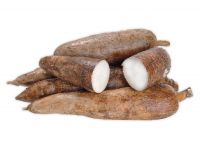 Locally sourced cassava for farm-to-table freshness