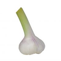 High-quality Garlic Perfect For Cooking