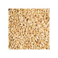 High-protein Barley Malt For Animal