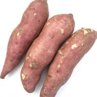 High-quality Sweet Potatoes For Export