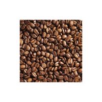 Premium Coffee Beans Available For Bulk Supply