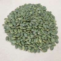 Pumpkin seeds kernels sunflower seeds kernels wanlnuts From China
