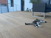 3D Wood Pattern WPC Pool Deck