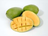 Fresh Mangoes