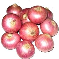 RED ONION