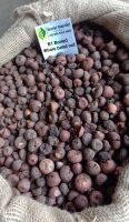 The Best Quality Boiled Betel Nuts From Indonesia