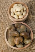 Cashew Nut