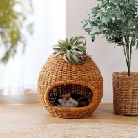 Handmade Rattan Pet House Table Natural Woven Pet Bed Transforms Table Dog Cat Furniture for Indoor Use Customized Wholesale From Vietnam