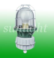 Explosion-proof Light
