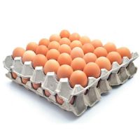 Best Quality Fresh Brown Table Chicken Eggs 