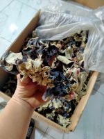 Wood Ear Mushroom/ Tree Ear Mushroom whatsapp +84 3 88 573 259
