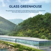 JC-BLWS-01 Glass greenhouse