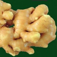 Dried Ginger