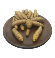 Fresh Turmeric