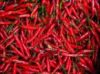 indian Chillies whole &amp; ground,chilli flakes,stemless chillies