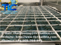 Frozen Vannamei Shrimp (THAI LIEN COMPANY, Ms. Fiona :+84.908.794.118)