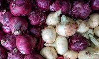 Onions