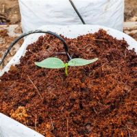 Coco peat and cocnut coir products