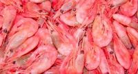 Dried Prawn