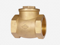 Brass Check Valve