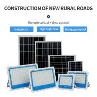 Remote Solar Floodlight (reference price)