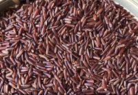 Red Rice
