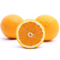 Fresh Tasty Oranges For Sale Navel Orange / Valencia Orange / Baladi Orange