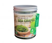 [300 gr] Gold Marine dewatered Sea grapes rich in nutrients, good for health