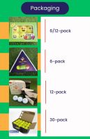 brands approved factory made 2/3/4 Surlyn and Urethane tournament golf balls From China