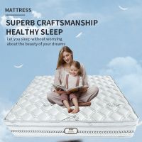 Zhenhui Huier Shu whole net spring mattress environmental protection brown hotel home dormitory mat double mattress manufacturers direct sales