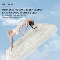 Zhenhui Huershu spring mattress hotel home bed cross-border sponge whole net double mattress manufacturers direct sales