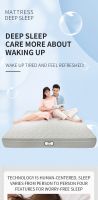 Factory direct spring coconut mattress Home star hotel bed and breakfast rental room mattress double 1.8m mattress