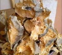 Stock Fish And Catfish
