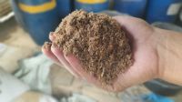 Complete Feed for Beef Cattle