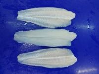 Frozen Basa Fillet Pangasius Fillet